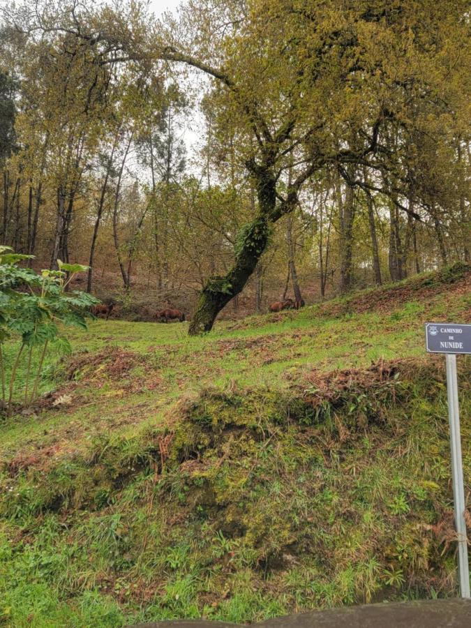 Quinta Da Picouta Villa Аркос де Валдевез Екстериор снимка